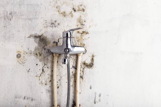 Best Post-Remediation Services in Wilburton, OK