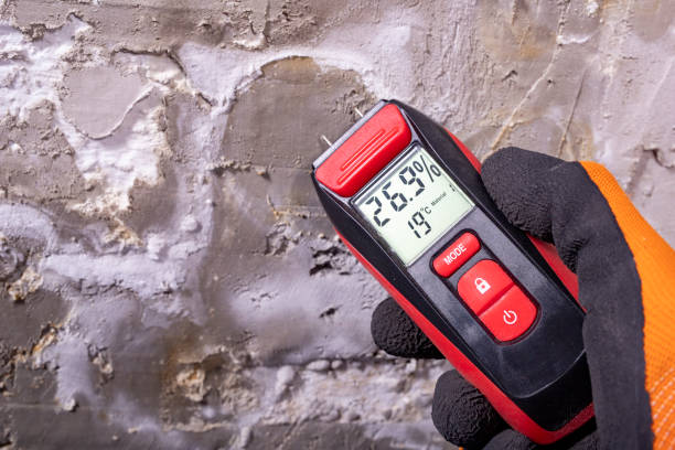 Best Emergency Mold Remediation in Wilburton, OK