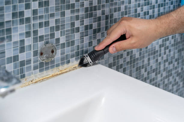 Best Mold Remediation for Schools in Wilburton, OK