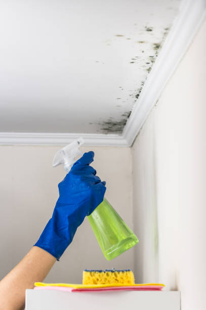 Best Post-Remediation Services in Wilburton, OK